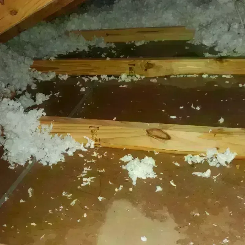 Attic Water Damage in El Cenizo, TX